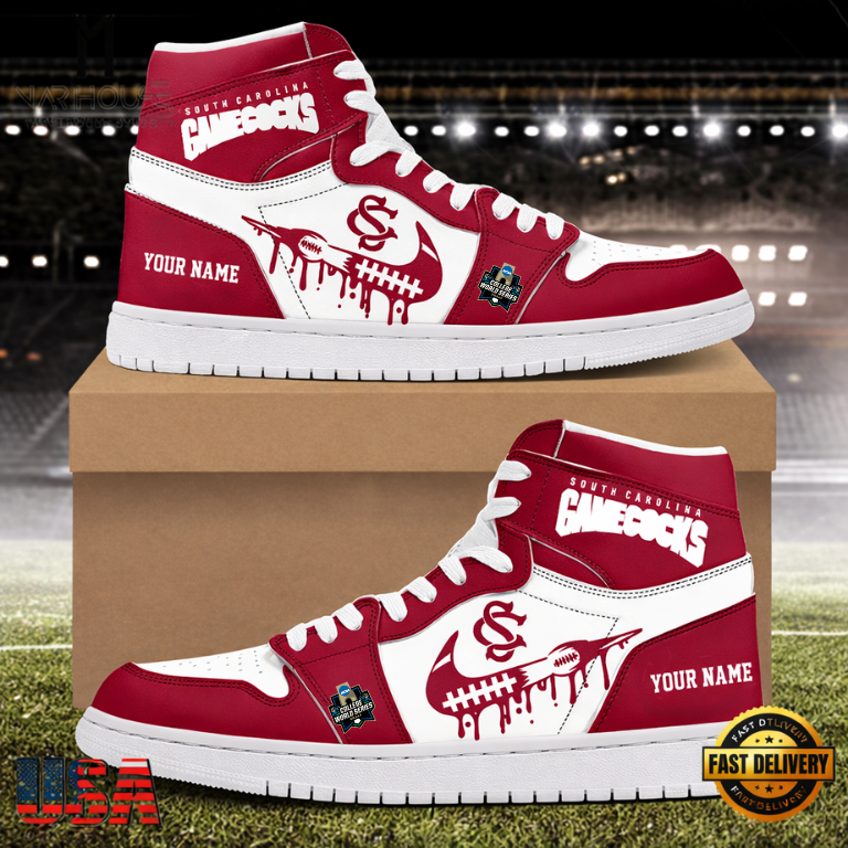 LIMITED EDITION - NEW CUSTOMIZED NCAA COLLEGE WORLD SERIES 10 SOUTH CAROLINA GAMECOCKS AIR JORDAN SHOES